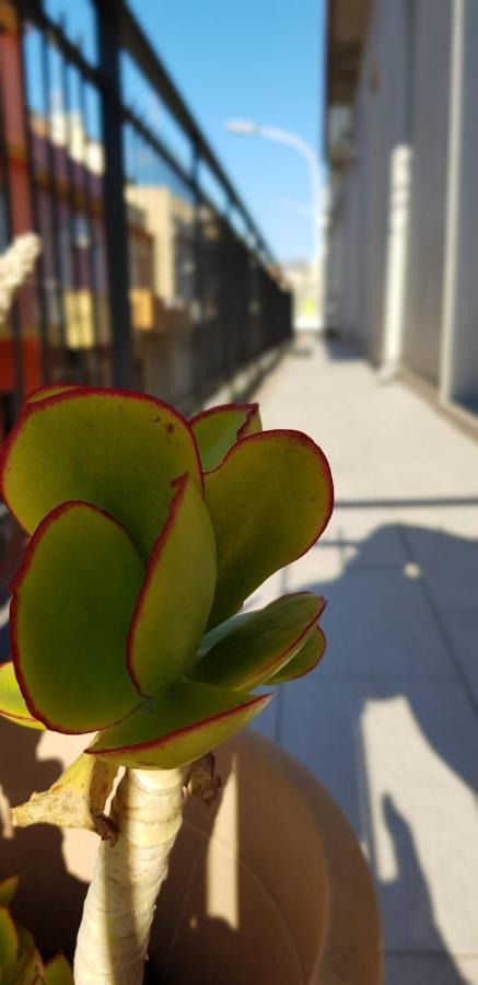 Сasa de vacaciones Casa Seveara Tra Mare E Centro *